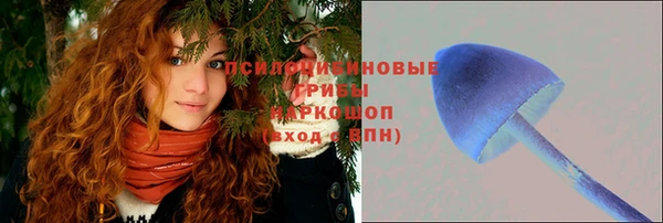 молекула духа Новозыбков