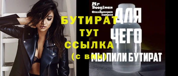 молекула духа Новозыбков