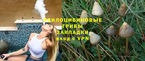 а пвп мука Алзамай