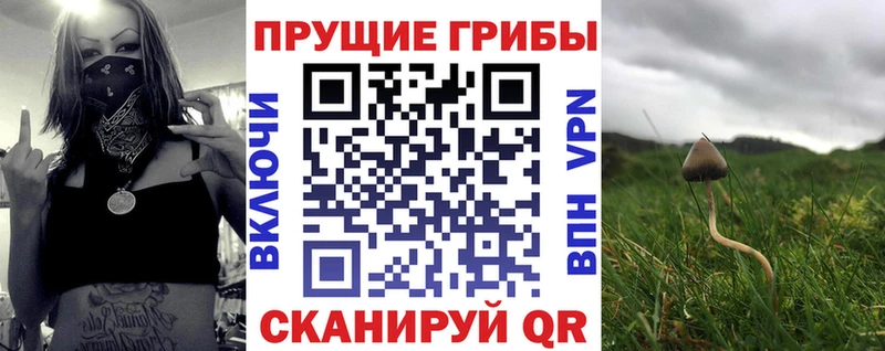 Галлюциногенные грибы Cubensis  Новоаннинский 